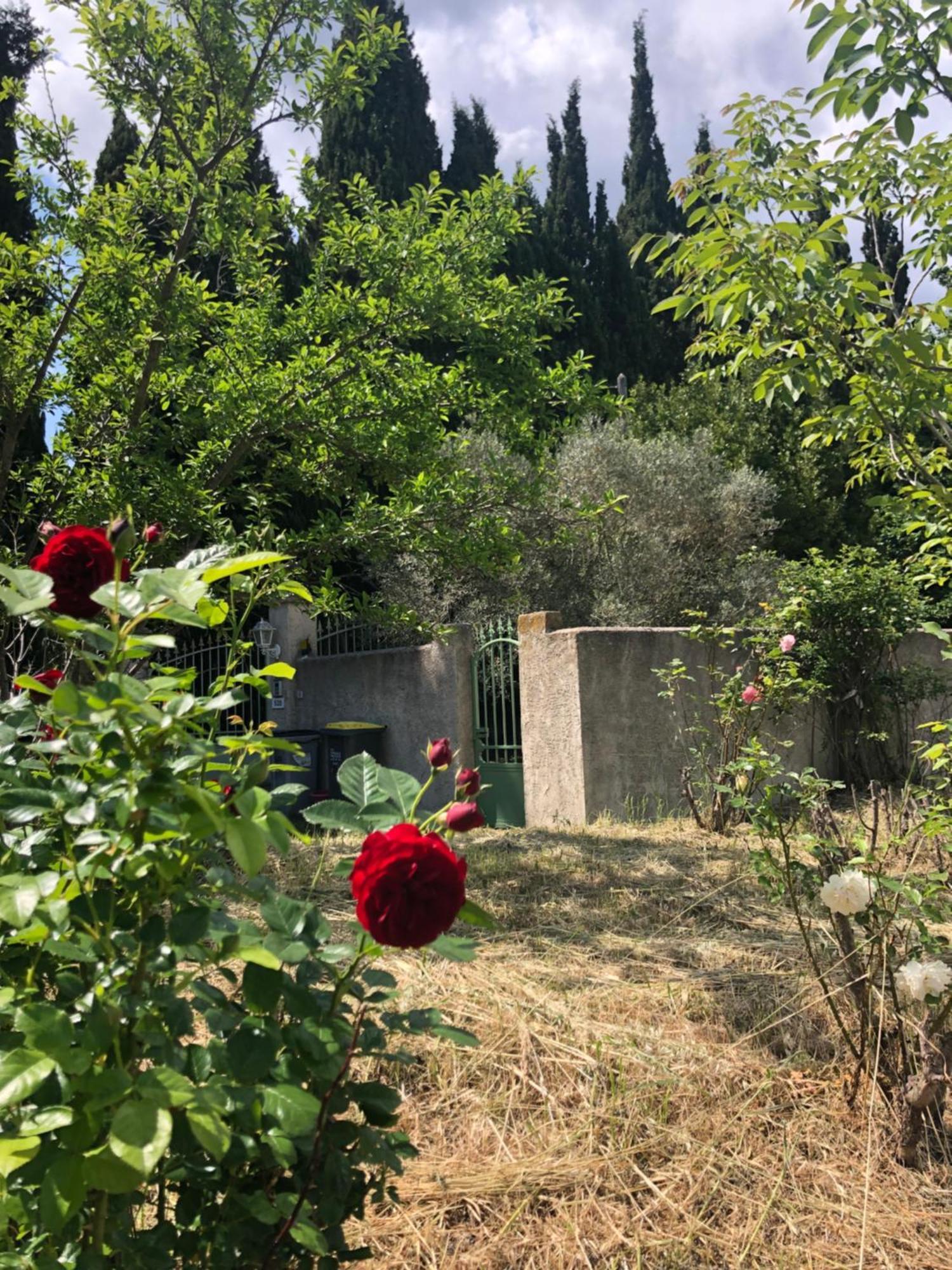 La Maison Des Sources Salon-de-Provence Eksteriør bilde